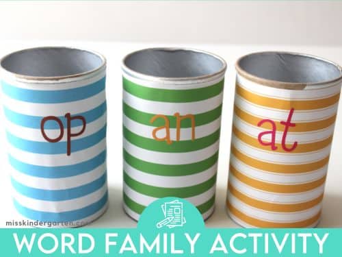 Word Family Activity
