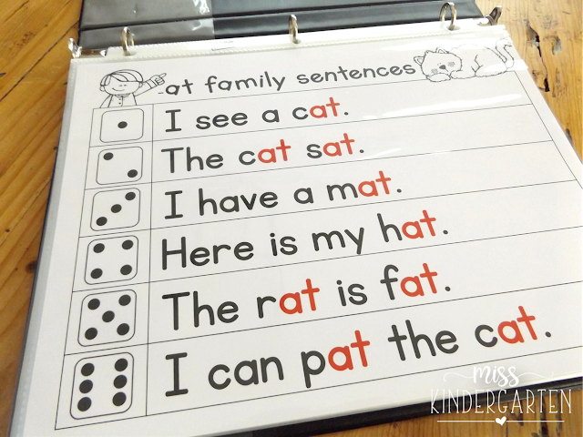 A binder with word family sentences