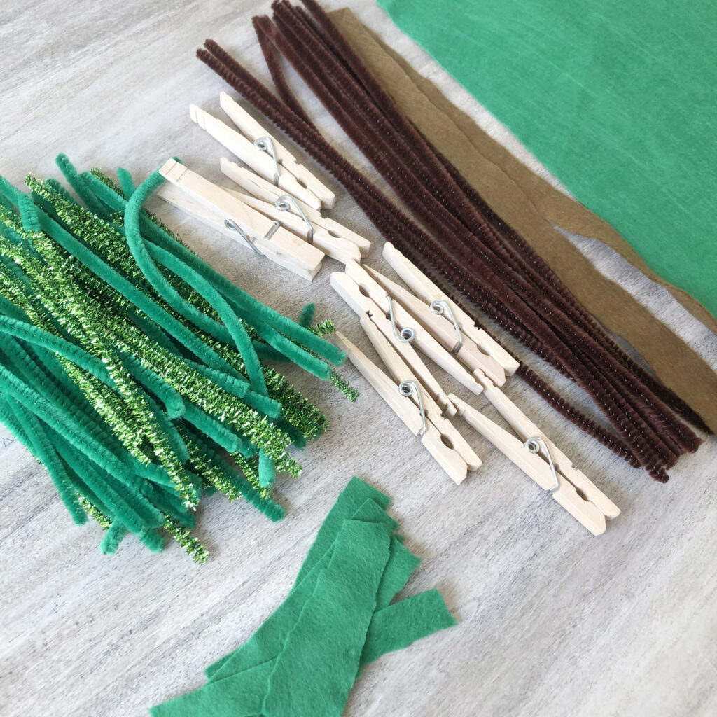 Materials for a pine tree STEM activity