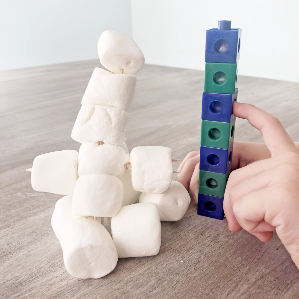 Building and measuring a marshmallow snowman