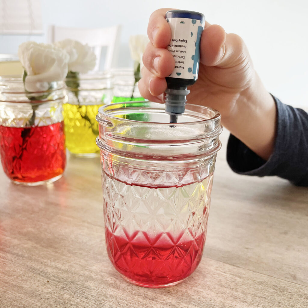 Adding food coloring to a jar of water