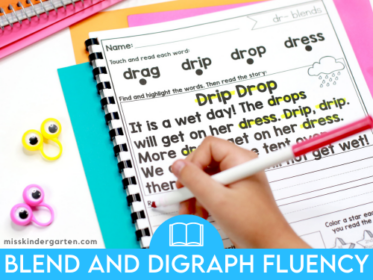 Consonant Blends and Digraphs: Building Fluency