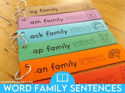 Word Family Sentences