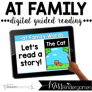 Digital Guided Reading Boom Cards™ Short Vowel Freebie