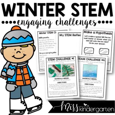 STEM Challenges for Winter
