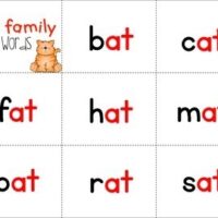 Free Reading Words Fluency Practice -at Family Words - Miss Kindergarten